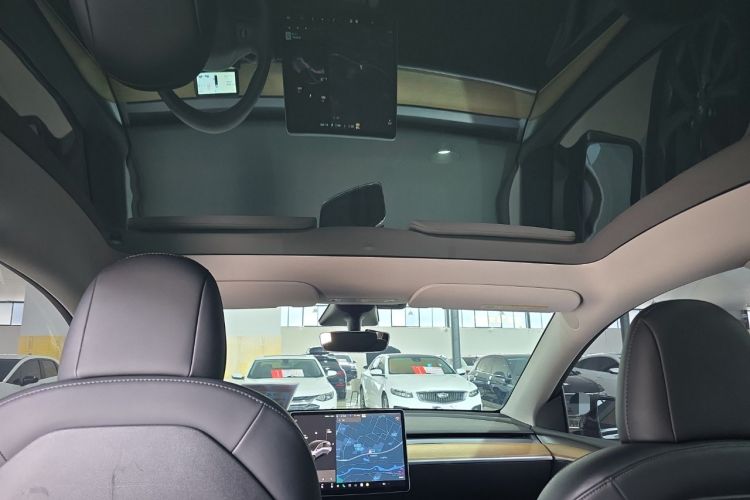 Used Tesla Model Y 2021 Standard Range Rear-Wheel Drive Version
