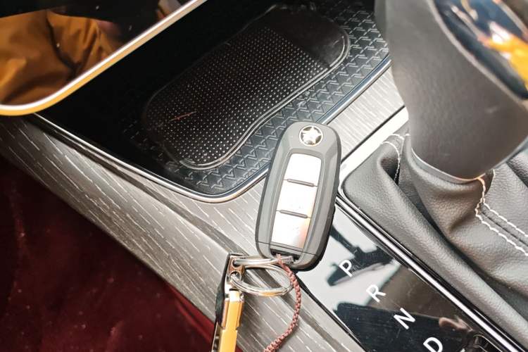 Used Venucia D60 2021 PLUS 1.6L XL CVT Yue Ling Edition Vehicle Key