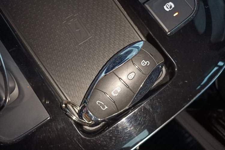 Used Hongqi HQ9 2023 2.0T Smart Connect Flagship Edition
