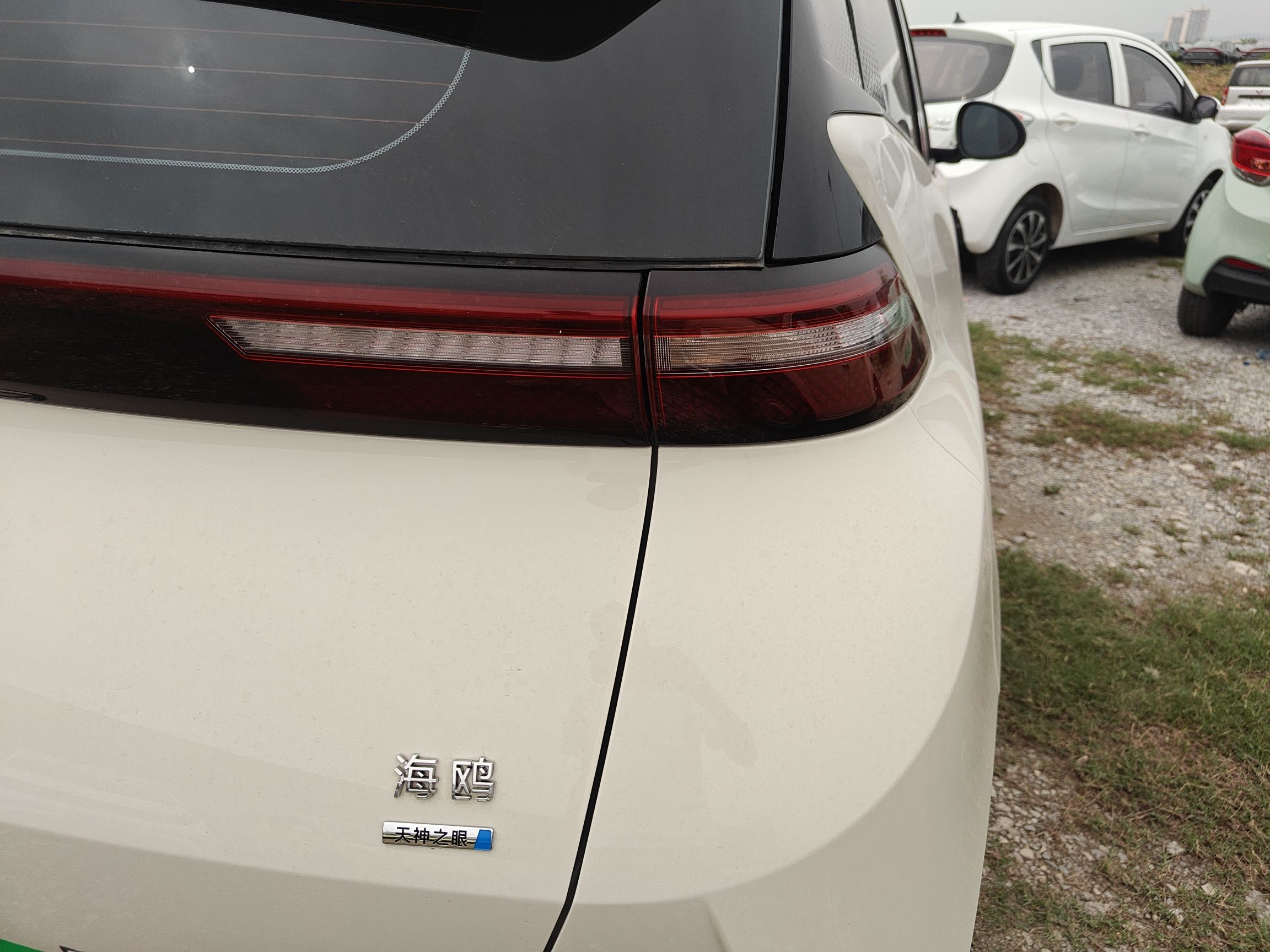 BYD Seagull 2025 Smart Drive Version 305 km Freedom Edition — снимка 9