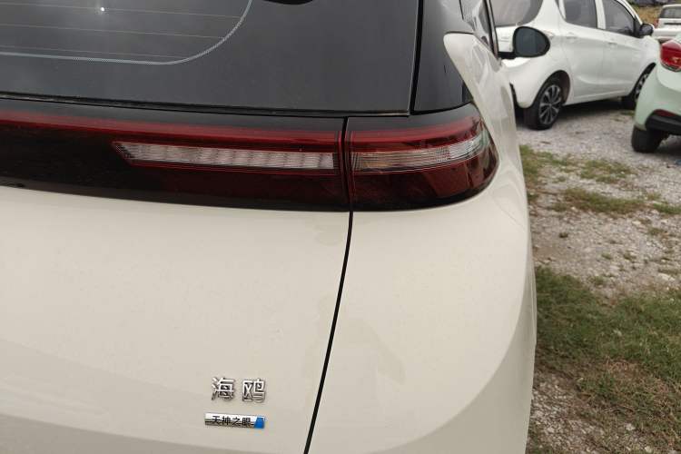 Used BYD Seagull 2025 Smart Drive Version 305 km Freedom Edition Exterior 3