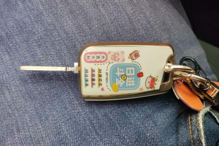 Used Volkswagen Polo 2019 Plus 1.5L Automatic Panoramic Enjoyment Edition