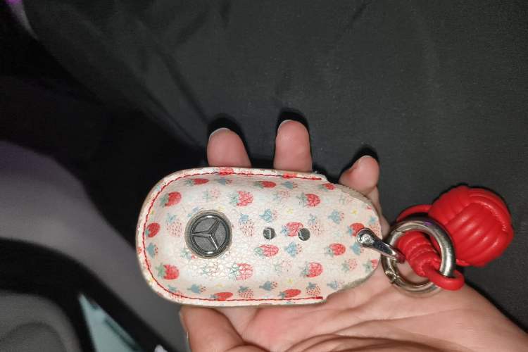 Used Mercedes-Benz EQE SUV 2024 500 4MATIC Luxury Edition Interior 1