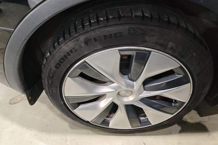 Used Tesla Model Y 2022 Revised Version Long-Range All-Wheel Drive
