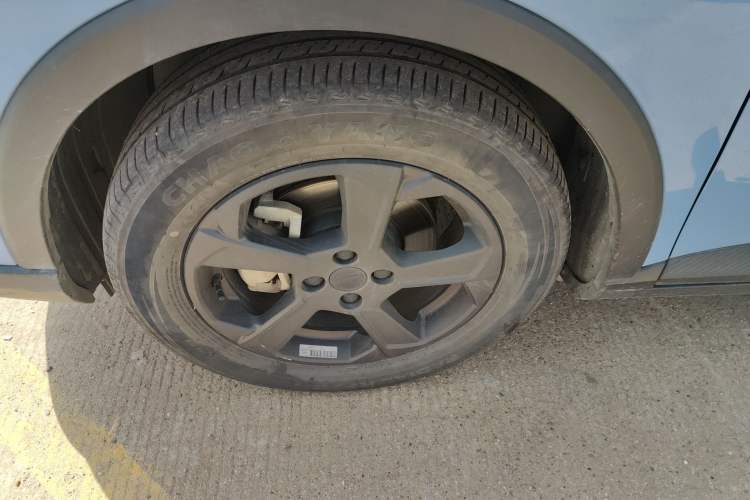 Used Geometry E Firefly 2023 401KM Linglong Tiger 5-Seater