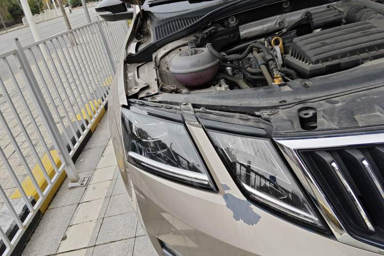 Used Skoda Octavia 2019 TSI280 DSG Flagship Edition
