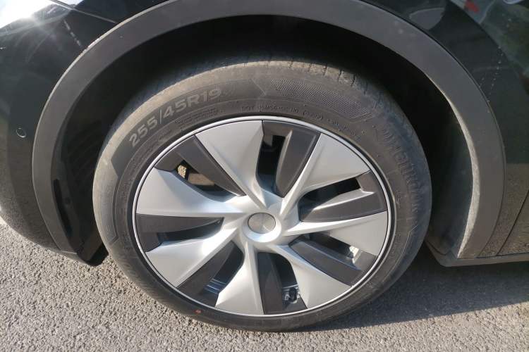 Used Tesla Model Y 2021 Standard Range Rear-Wheel Drive Version
