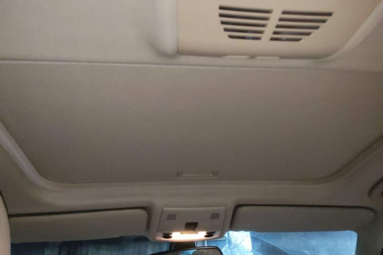 Used BMW 3 Series 2010 320i Luxury Model Headliner