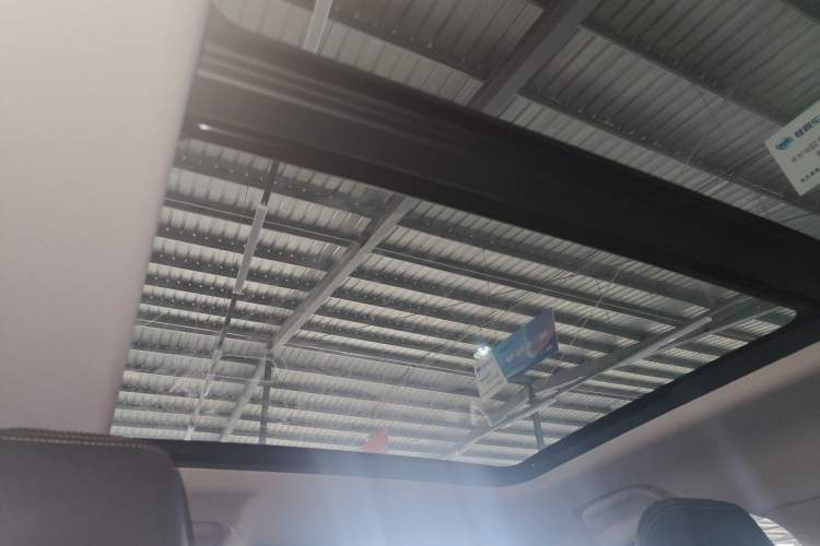 Used Haval DARGO 2024 2.0T DCT Chinese Rural Dog Edition Headliner