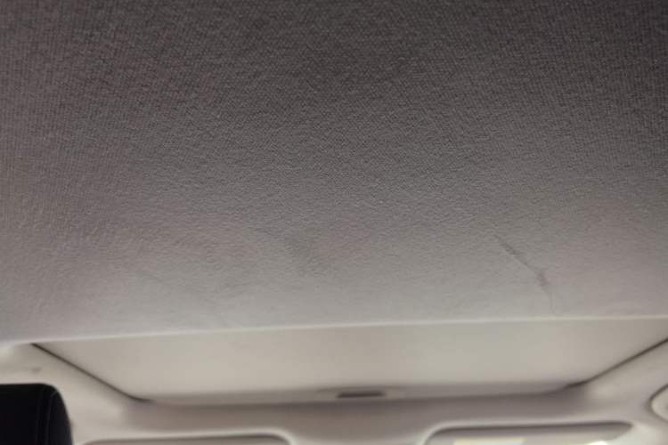 Used Toyota Corolla 2019 1.2T S-CVT GL-i Elite Edition
