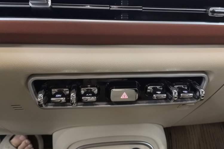 Used ORA Good Cat 2023 401 km Standard Range Premium Version Lithium Iron Phosphate Audio And AC Panel