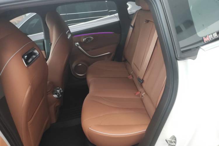 Used ORA Lightning Cat 2022 555 km Luxury Edition
