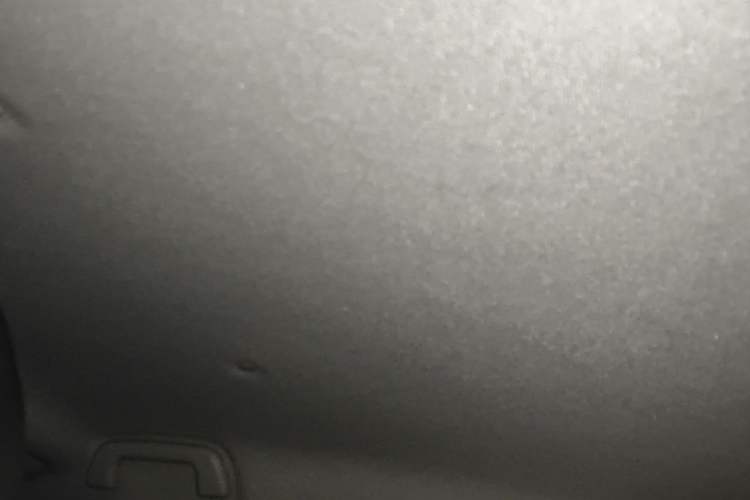 Used ORA Black Cat 2021 351 km Luxury Version Headliner