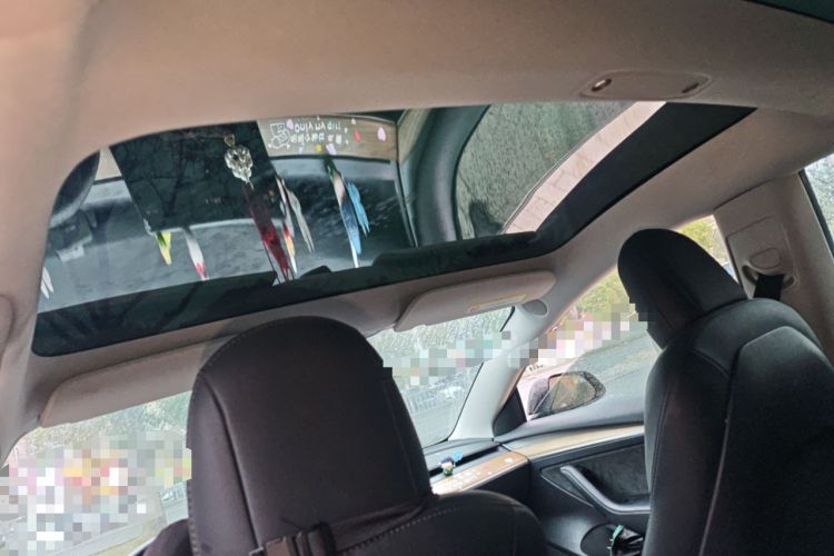 Used Tesla Model 3 2022 Rear-Wheel-Drive Version