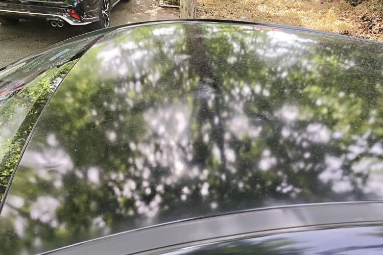 Used SOL E10X 2022 Flower Fairy Design Dandelion
