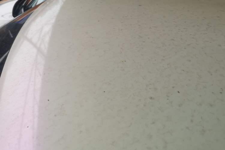 Used ORA White Cat 2020 305 km Luxury Version
