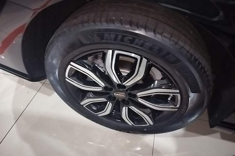 Used Hongqi HQ9 2023 2.0T Smart Connect Flagship Edition
