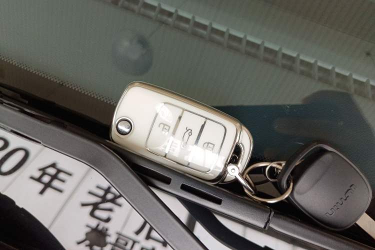 Used CHANGAN NEVO Lumin 2025 205 km Xiangqin Version