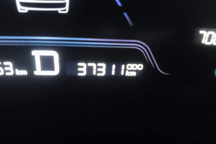 Used Geometry E Firefly 2022 320KM Cute Tiger 4-Seater