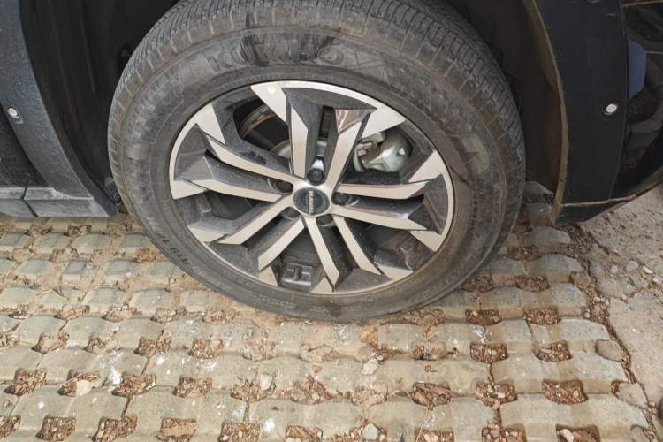 Used Haval H Dog 2023 1.5T Two-Wheel Drive Chao Ye Version Plus