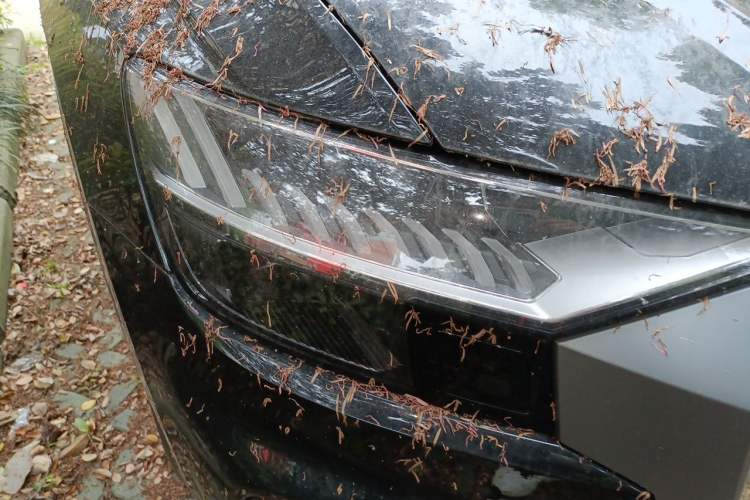 Used Audi Q8 2022 55 TFSI Luxury Dynamic Edition
