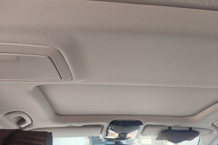 Used BMW 5 Series 2019 530Li Leading Model Luxury Package Headliner