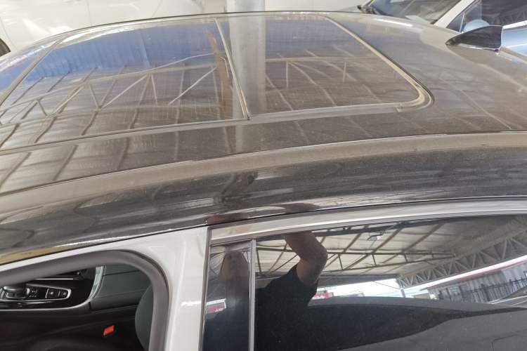 Used AION S 2019 Max 630 Roof