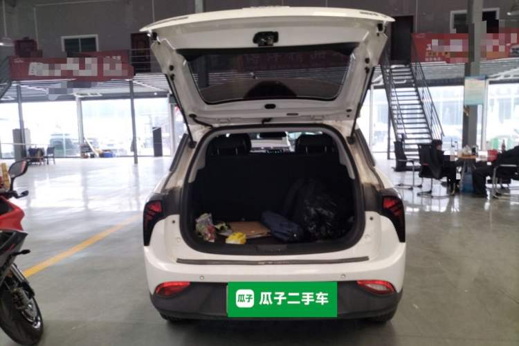 Used NETA V 2021 Long-Range Entertainment Edition Upgrade Model