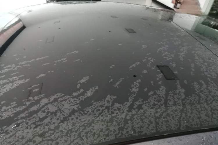 Used Tesla Model 3 2021 Standard Range Rear-Drive Upgraded Version