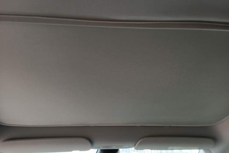 Used Tesla Model Y 2021 Standard Range Rear-Wheel Drive Version Headliner