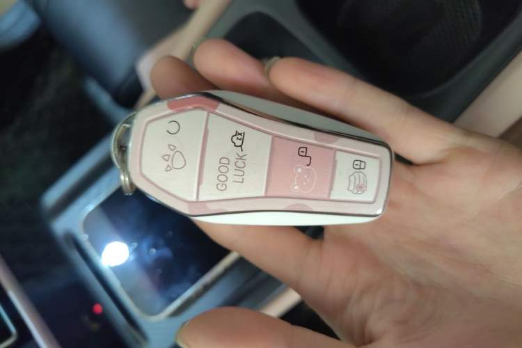 Used BYD Seagull 2023 Active Version Vehicle Key