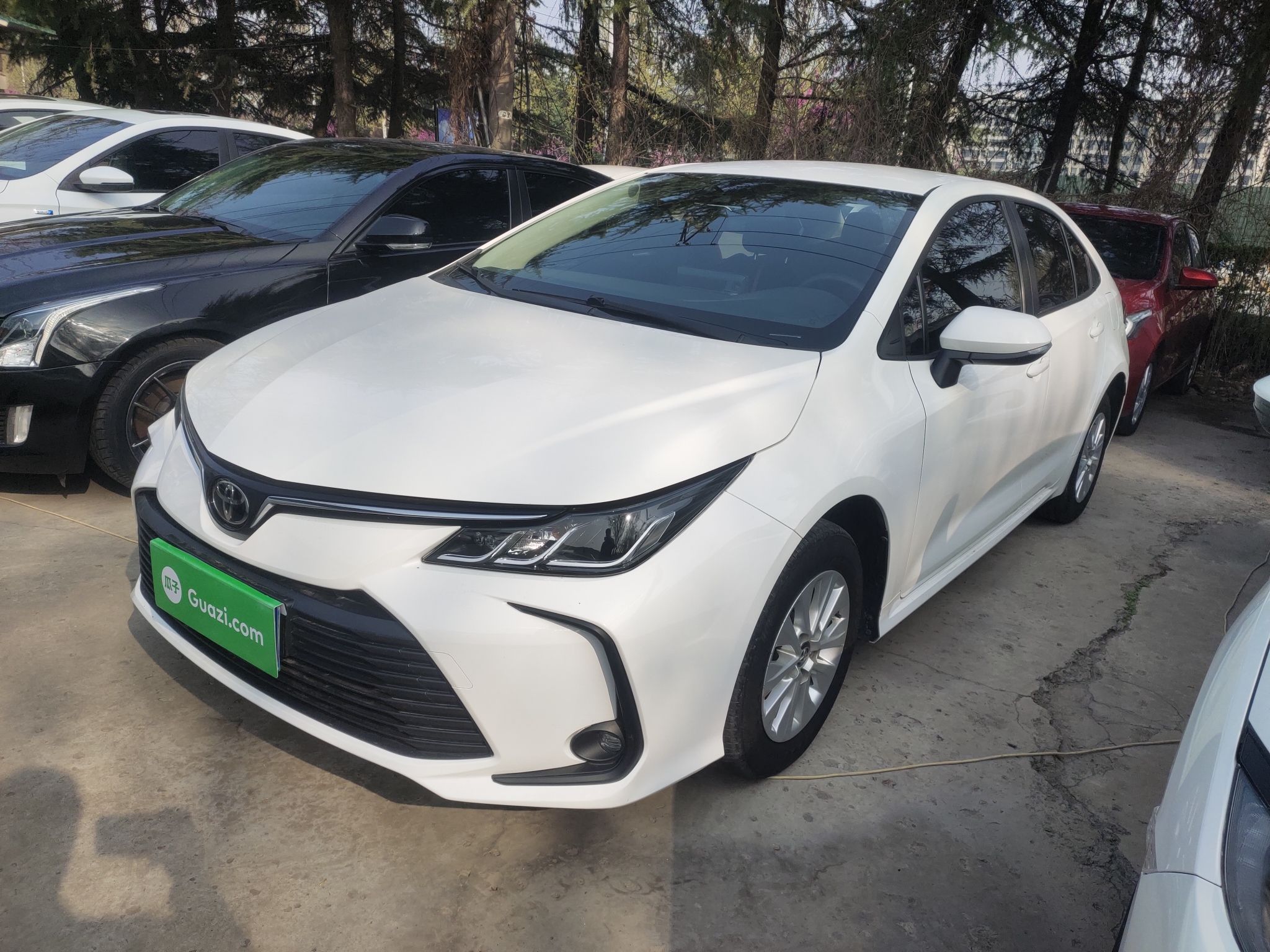 Parte inferior delantera