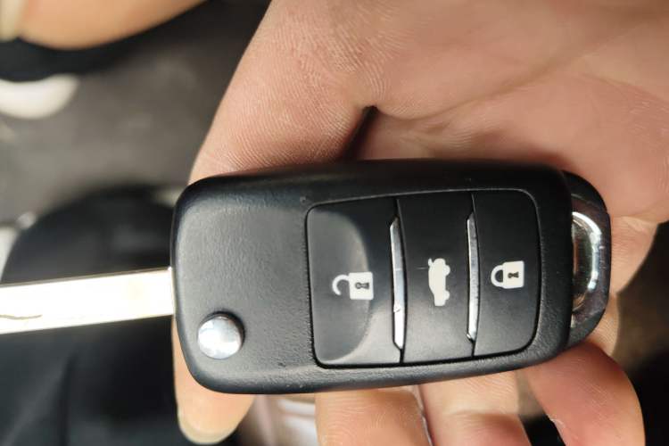 Used Qiyuan Lumin 2025 205 km Xiangqin Version
