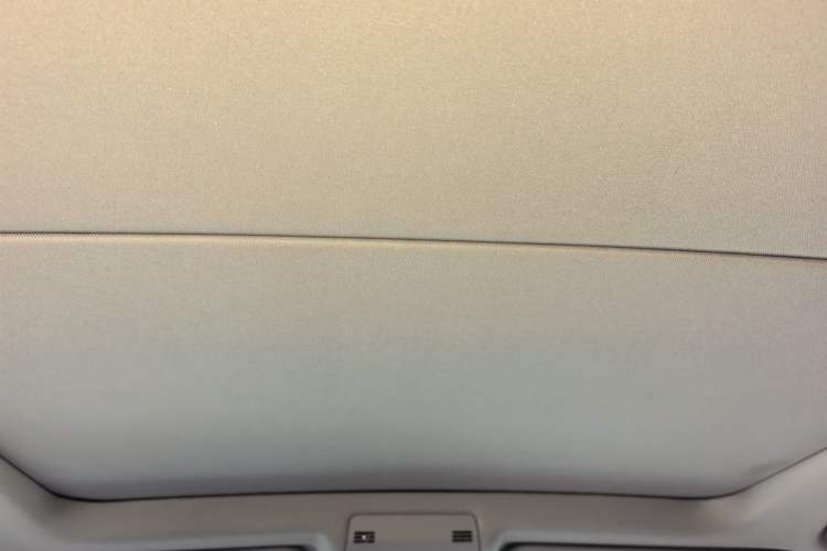 Used BMW X1 2013 sDrive18i Sport Design Package Headliner