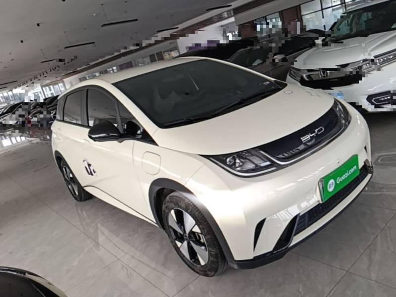 Used BYD Dolphin 2023 420 km Free Version — 3