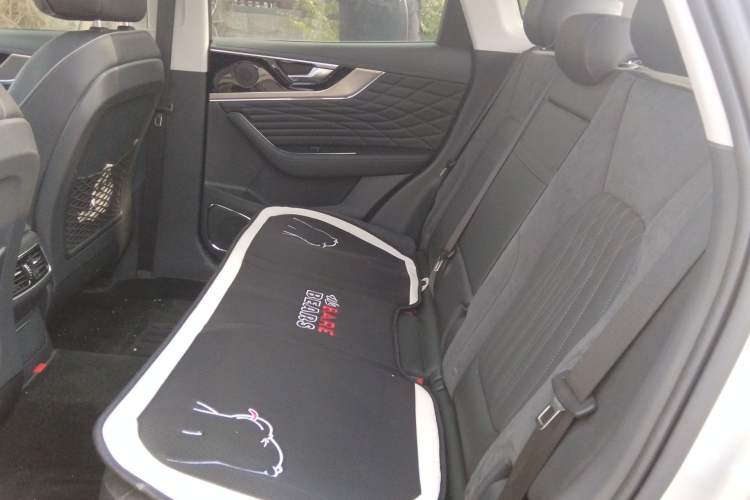 Used Hongqi HS5 2022 Revised Version 2.0T Smart Connect Flagship Edition Left Rear Seat