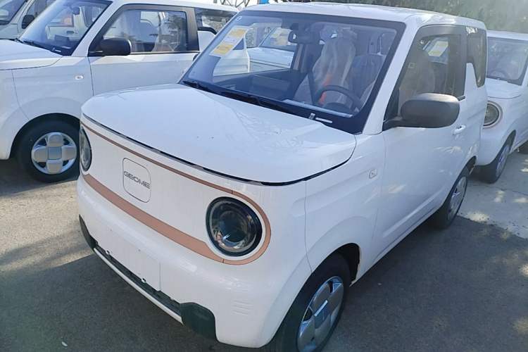 Used Geely Galaxy Panda 2024 Panda Mini 200km Endurance Bear