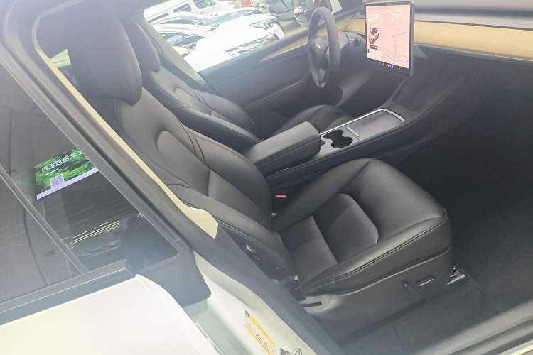 Used Tesla Model Y 2021 Standard Range Rear-Wheel Drive Version
