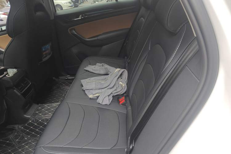 Used Skoda Kodiaq GT 2019 TSI330 Two-Wheel-Drive Luxury Edition China VI Standard Left Rear Seat