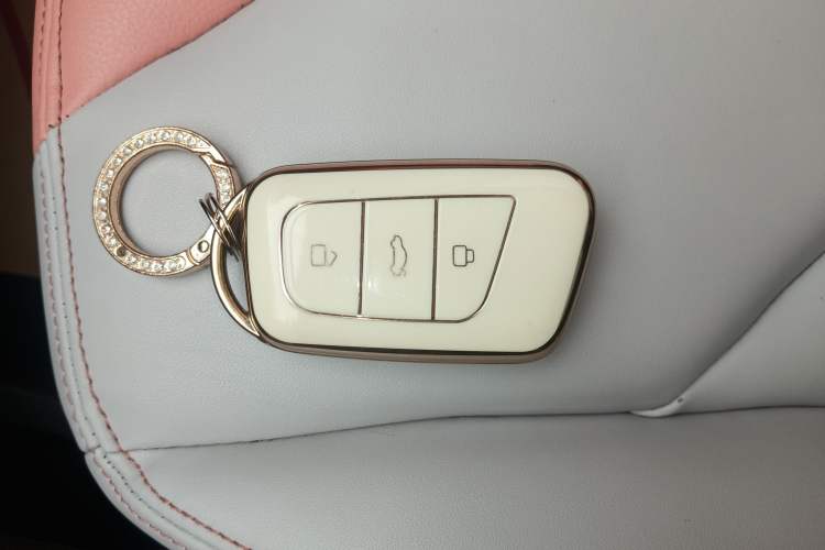 Used Chery QQ Little Ant 2022 Restyled Version Sweet Pink Edition Half-Sugar Version 28.8 kWh 30 kW 301 km Vehicle Key