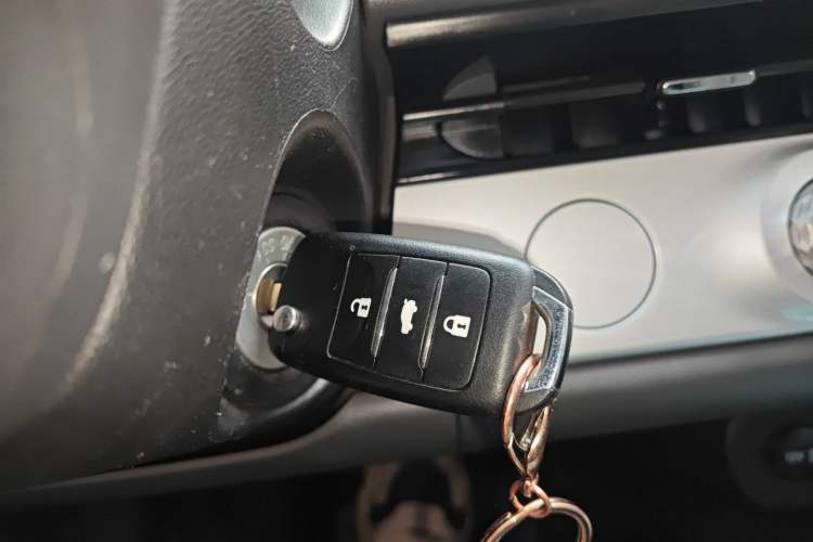 Used Qiyuan Lumin 2023 205km Xiangqin Version