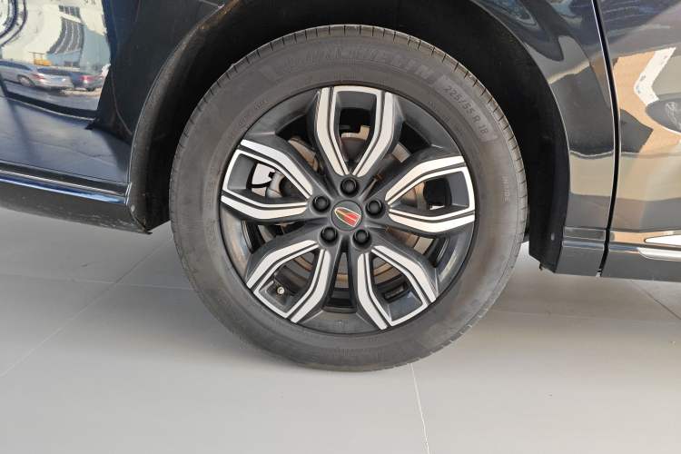 Used Hongqi HQ9 2023 2.0T Smart Connect Flagship Edition Exterior 8