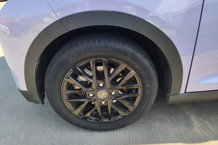 Used Chery Little Ant 2024 Facelifted 321km Beloved Edition