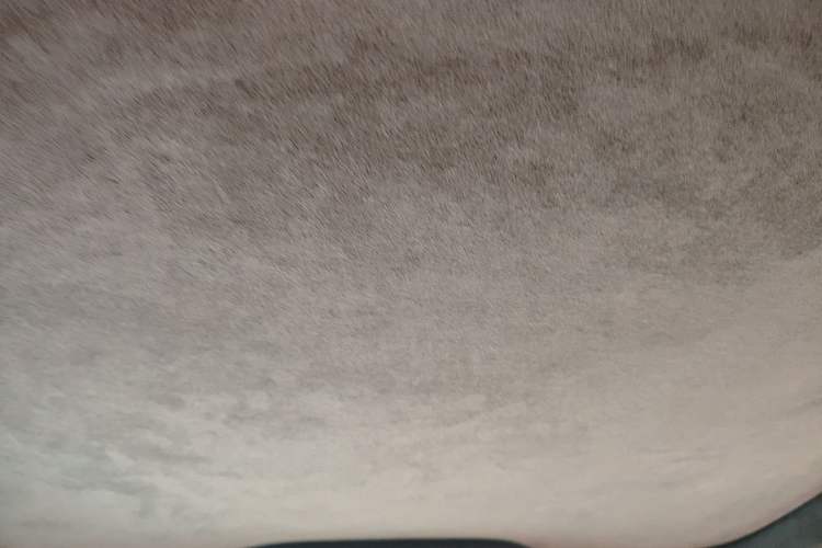 Used Nio EC6 2020 430 km Sport Version Headliner