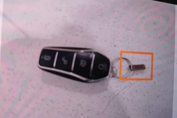 Used BYD Seal 06 New Energy 2025 DM-i Smart Drive 120KM Prestige Model Vehicle Key