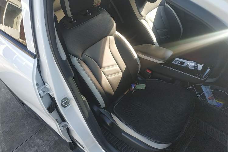 Used Geometry E Firefly 2023 401KM Lightning Tiger 5-Seater
