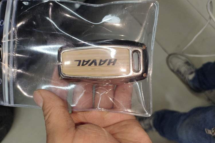 Used Haval DARGO 2024 2.0T DCT Chinese Rural Dog Edition
