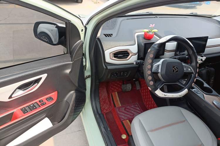 Used SOL E10X 2022 Flower Fairy Design Four-Leaf Clover