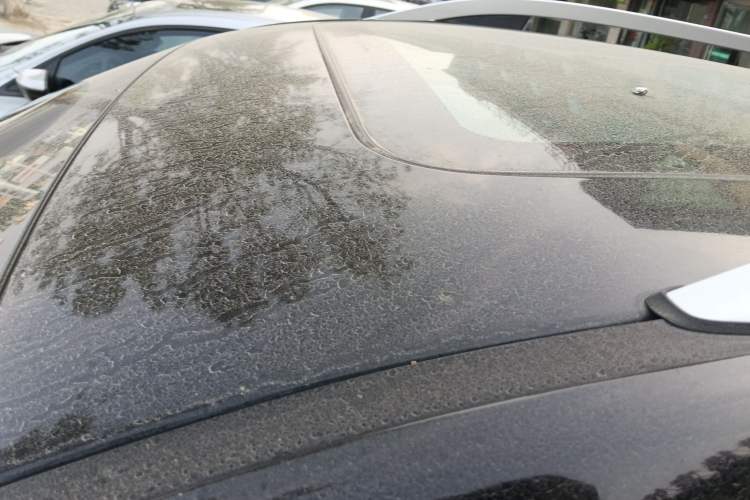 Used Subaru Forester 2016 2.0i Fashion Navigation Edition
