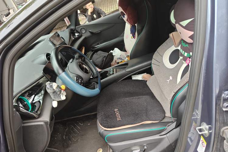 Used BYD Dolphin 2023 401km Knight Edition Left Front Seat